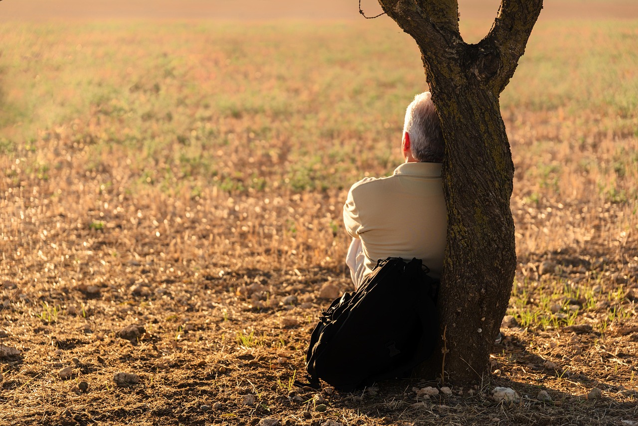 man, solitude, tree, leaning, resting, relax, nature, contemplating, sitting, elderly man, alone, solitary